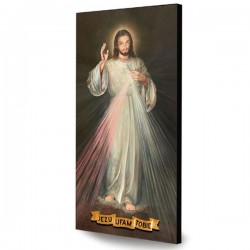 Pan Jezus Miłosierny. Jezu...